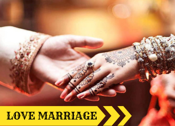 colorful fishes in the ocean