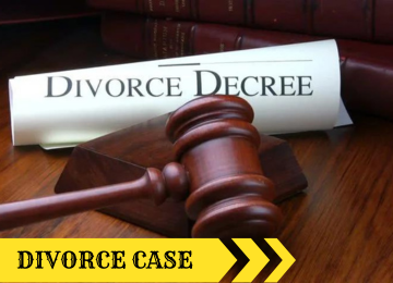 colorful fish in the ocean