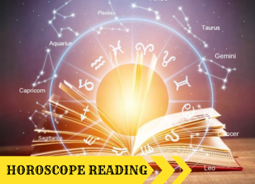 colorful fishes in the ocean