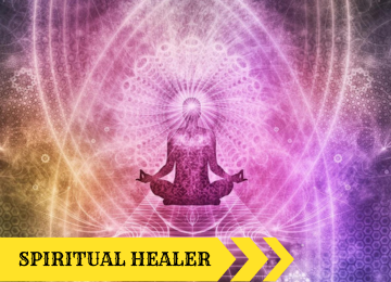 colorful fishes in the ocean