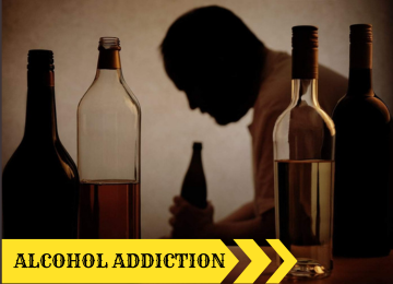 colorful fishes in the ocean