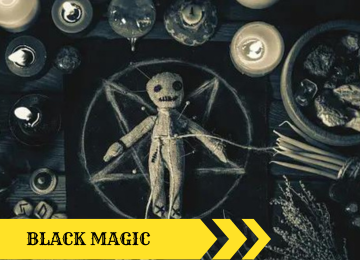 colorful fish in the ocean