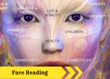 colorful fishes in the ocean